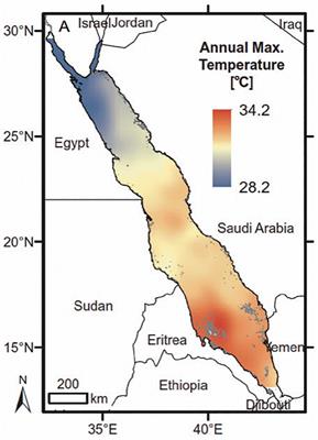 Science, Diplomacy, and the Red Sea’s Unique Coral Reef: It’s Time for Action